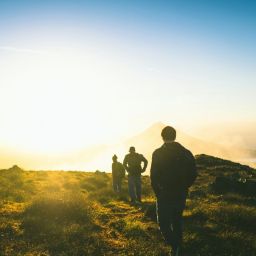 emoções e alterações climáticas