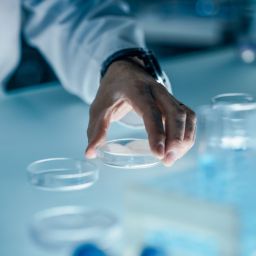 células dos tumores