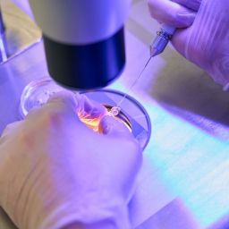 microagulhas para terapia celular