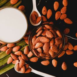 alternativas lácteas à base de plantas