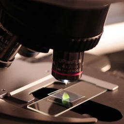 declaração sobre ciência