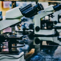 Vencedores do Prémio Maria de Sousa