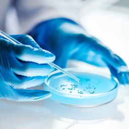 medicina regenerativa