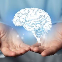 encontro sobre encefalite autoimune