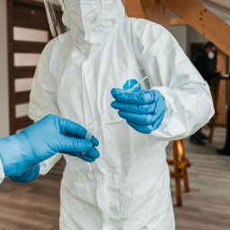 novos vírus que podem causar pandemias