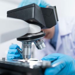 descobertas proteínas que protegem do envelhecimento