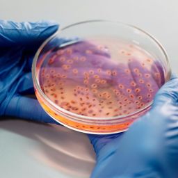 evento europeu de biotecnologia