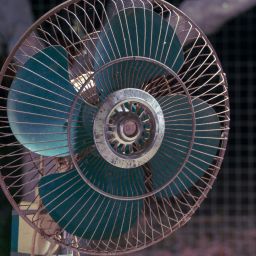 o que fazer aos doentes nas ondas de calor