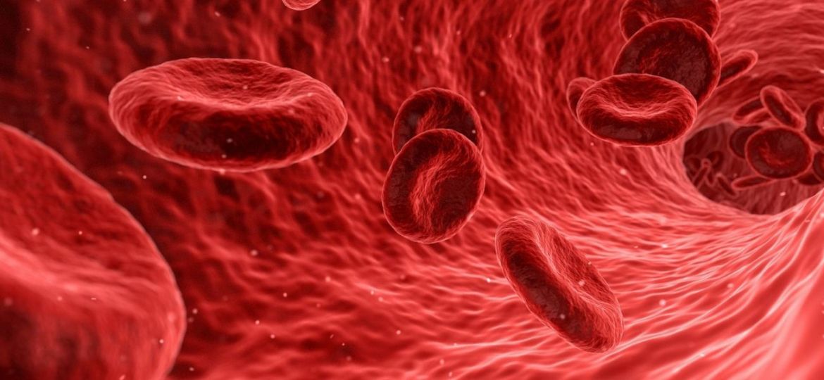 deficiência de ferro nas doenças cardiovasculares