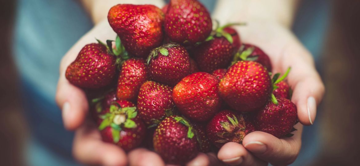 alimentação saudável