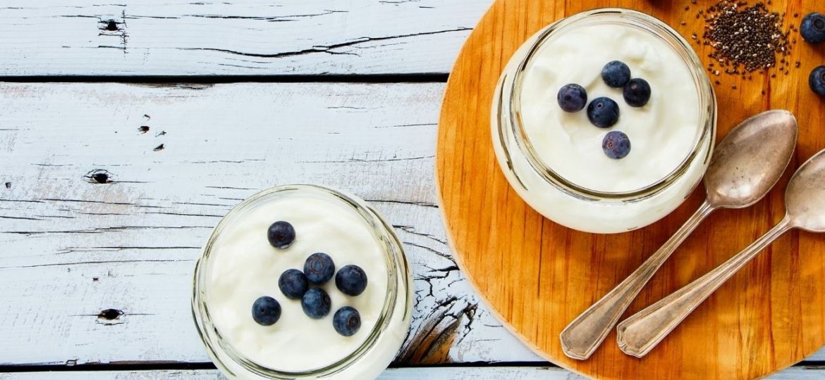 alimentos fermentados