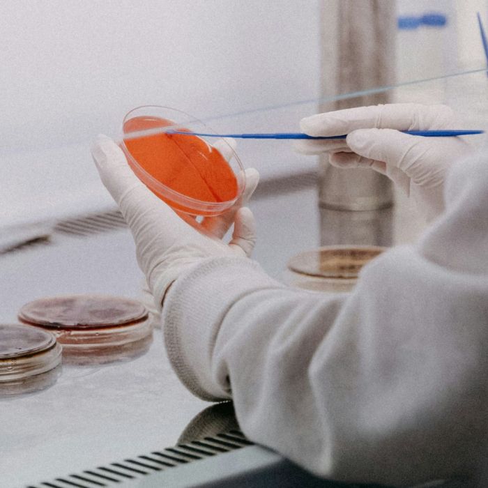 pastilha elástica contra o HPV
