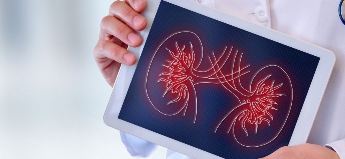 cirurgia renal mini-invasiva