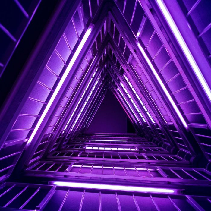 setembro roxo e os cancros ginecológicos