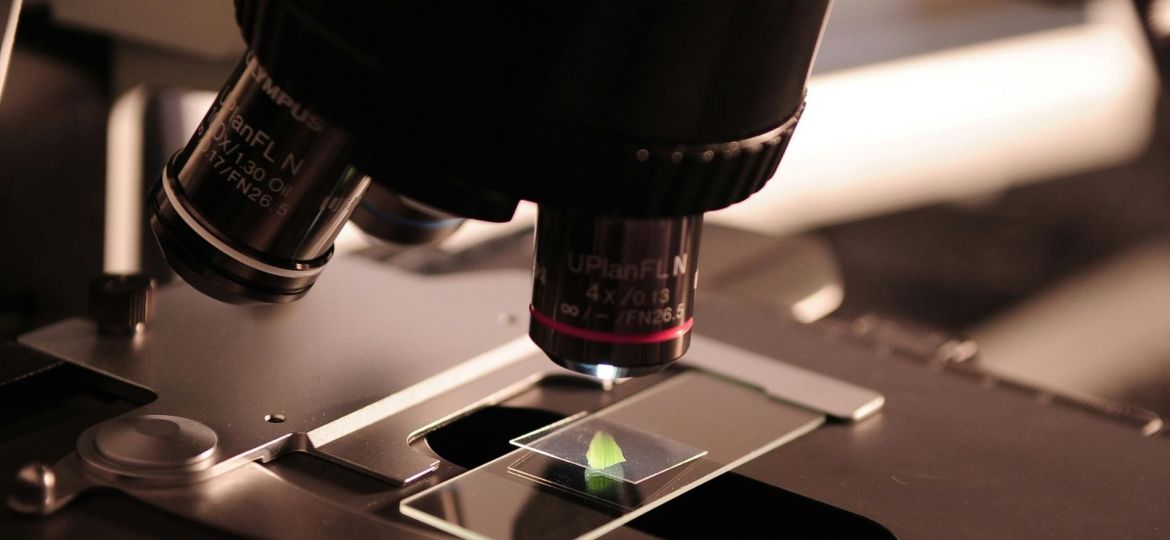 declaração sobre ciência