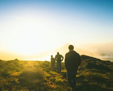 emoções e alterações climáticas