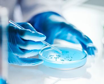 medicina regenerativa