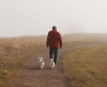 caminhar contraria efeitos do sedentarismo