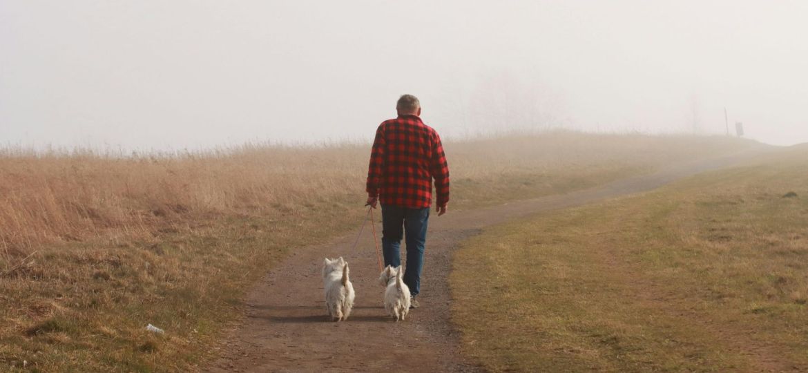 caminhar contraria efeitos do sedentarismo