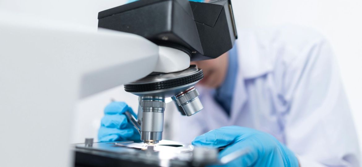 descobertas proteínas que protegem do envelhecimento