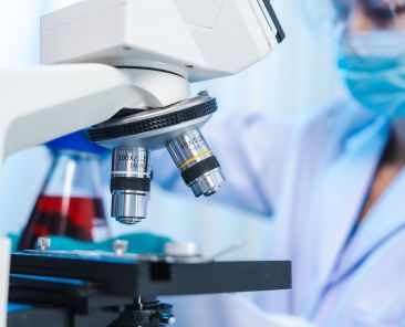 avanços na investigação do cancro