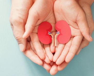 dia nacional da diálise