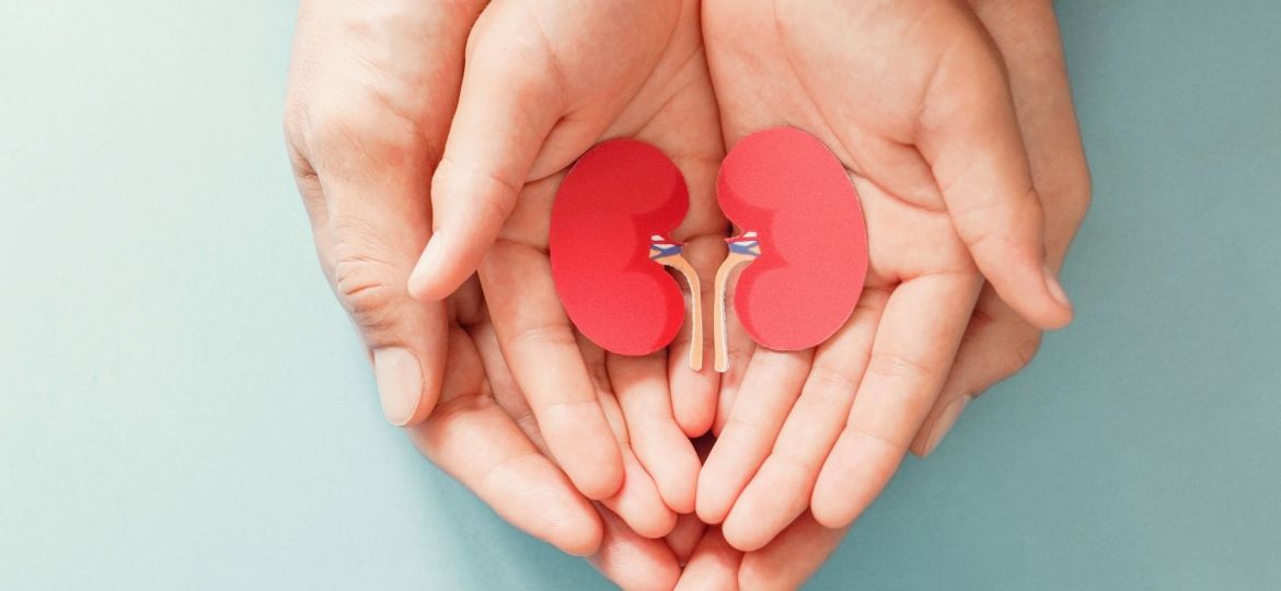 dia nacional da diálise