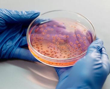 evento europeu de biotecnologia