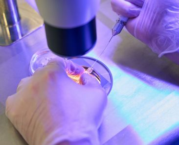 microagulhas para terapia celular