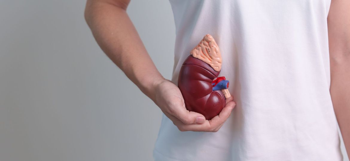 doença renal
