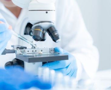 proteína controla o envelhecimento