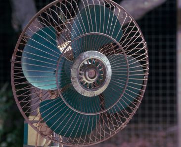 o que fazer aos doentes nas ondas de calor