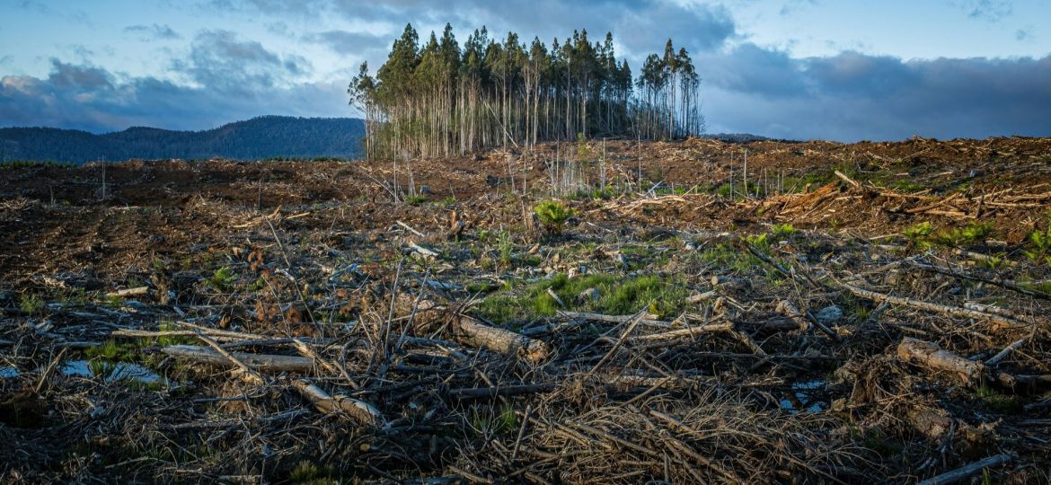 ansiedade climática