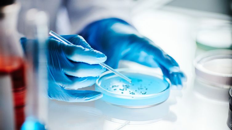 medicina regenerativa