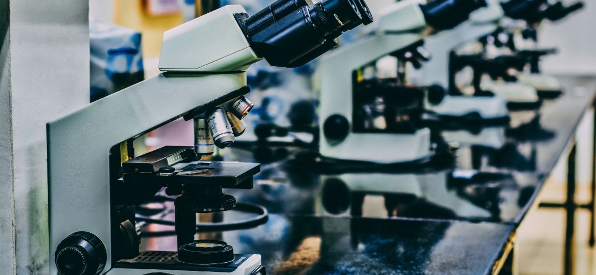 Vencedores do Prémio Maria de Sousa