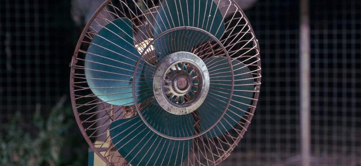 o que fazer aos doentes nas ondas de calor
