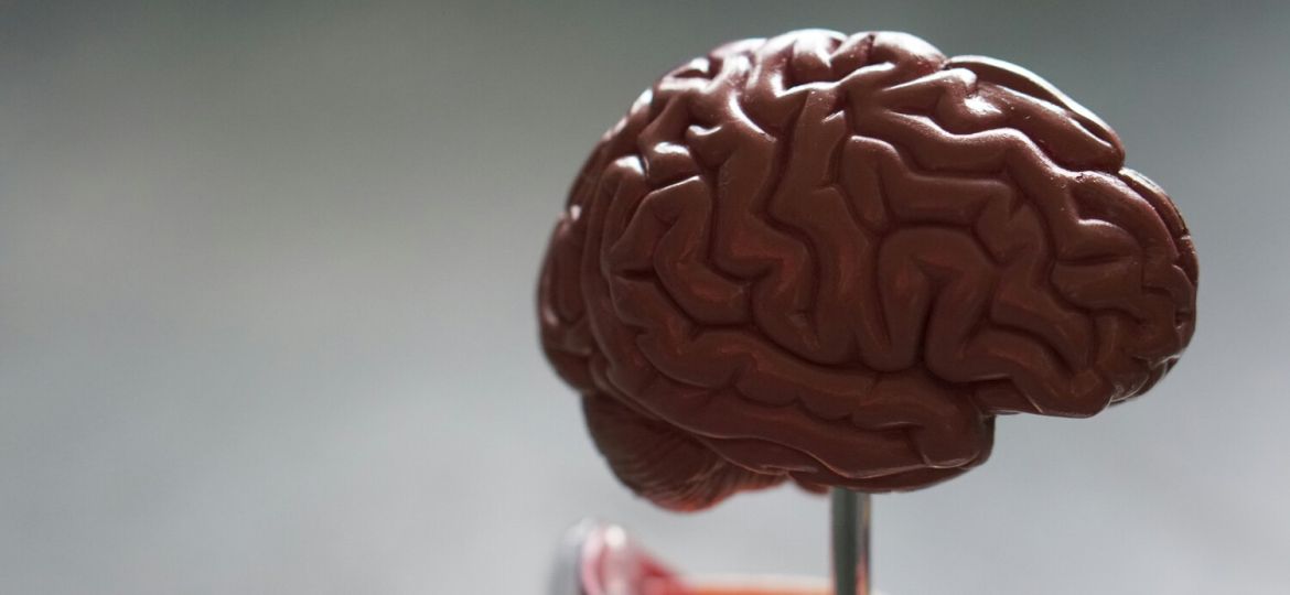 Inquérito sobre glioma