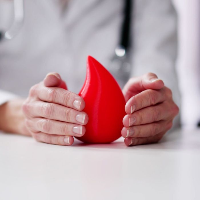 Dia Mundial da Hemofilia