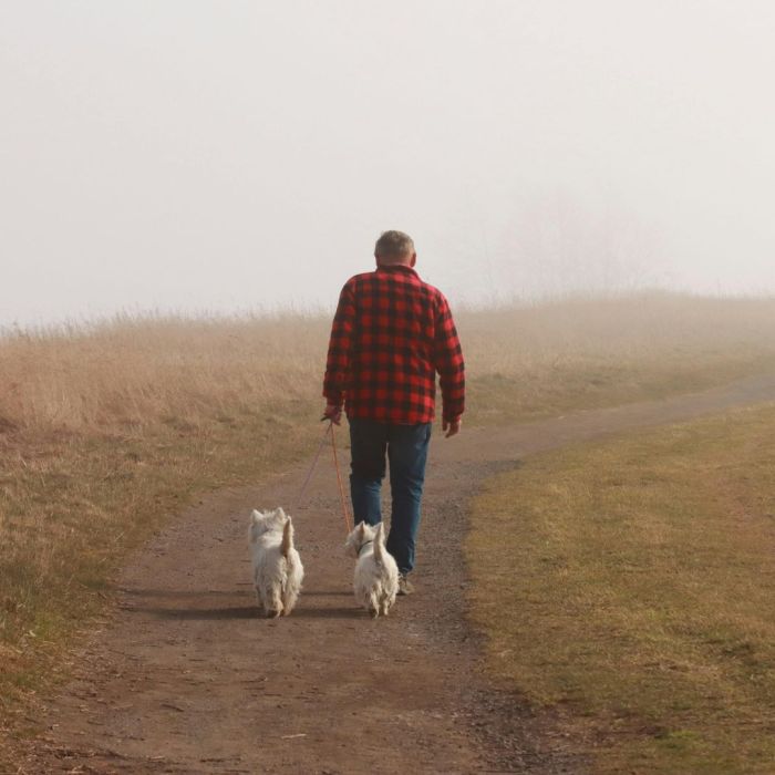 caminhar contraria efeitos do sedentarismo