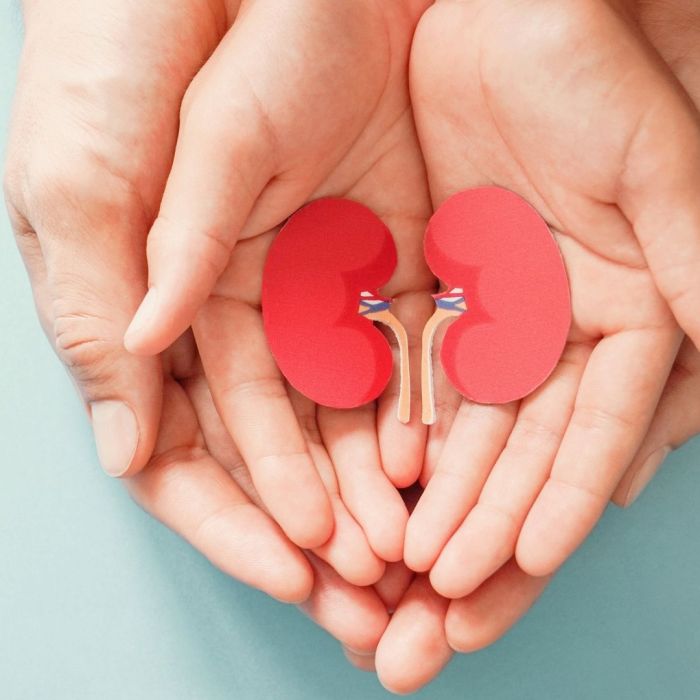 dia nacional da diálise