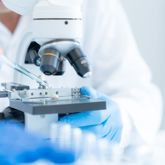 proteína controla o envelhecimento