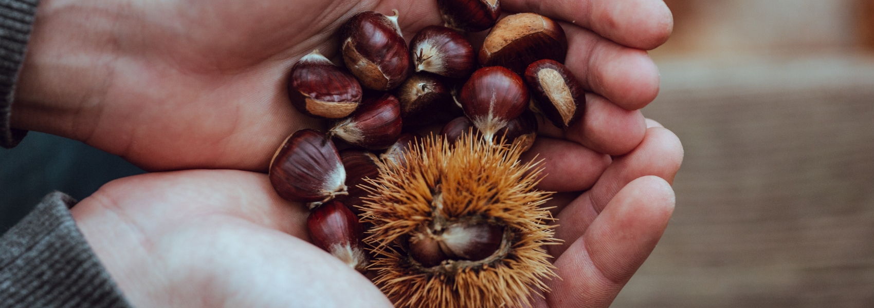 as vantagens nutricionais das castanhas