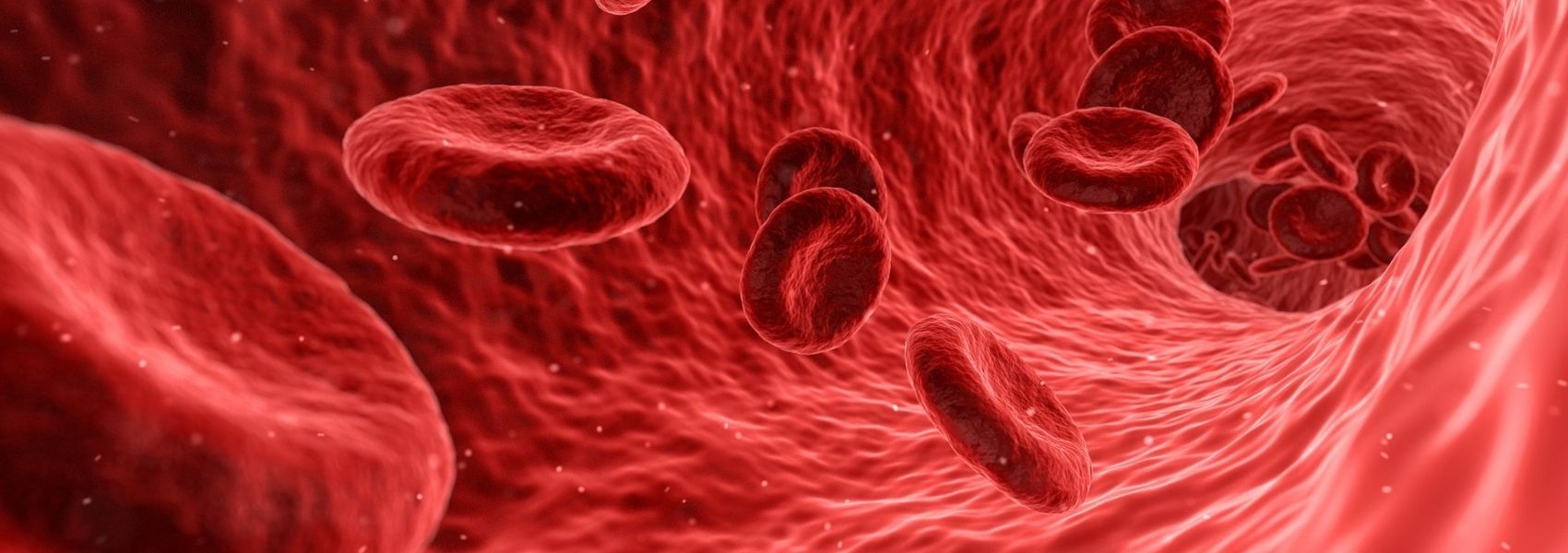 deficiência de ferro nas doenças cardiovasculares