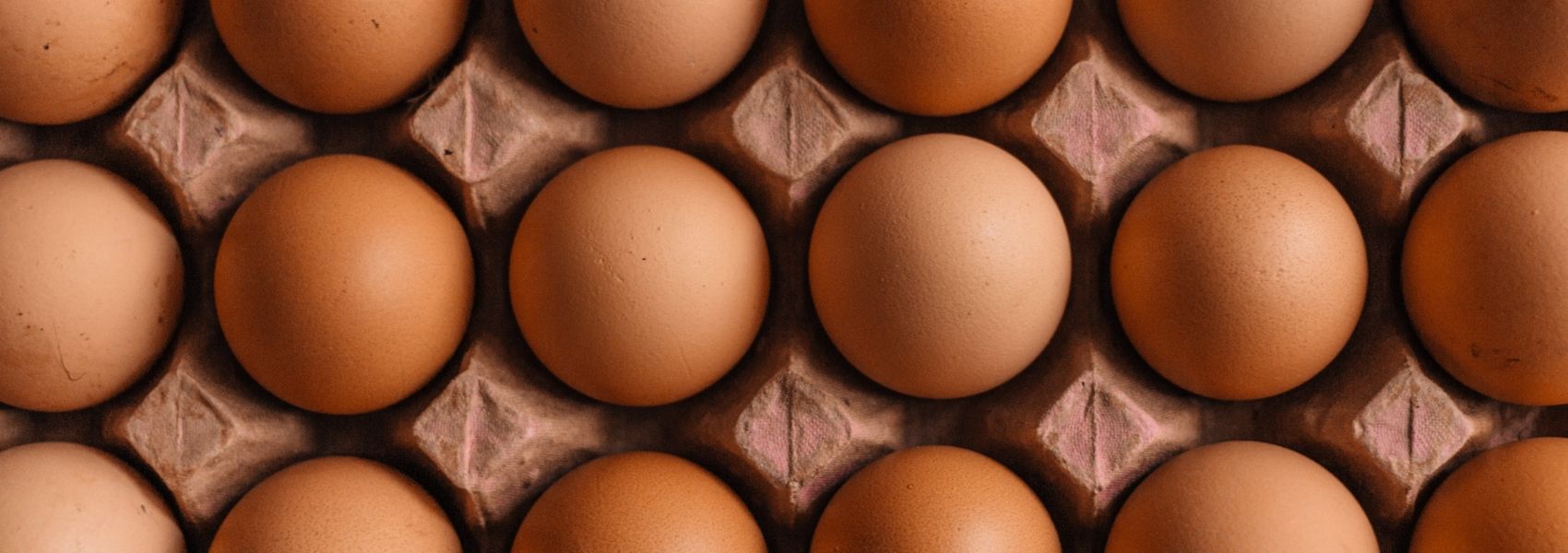 cascas de ovos ajudam nos ossos