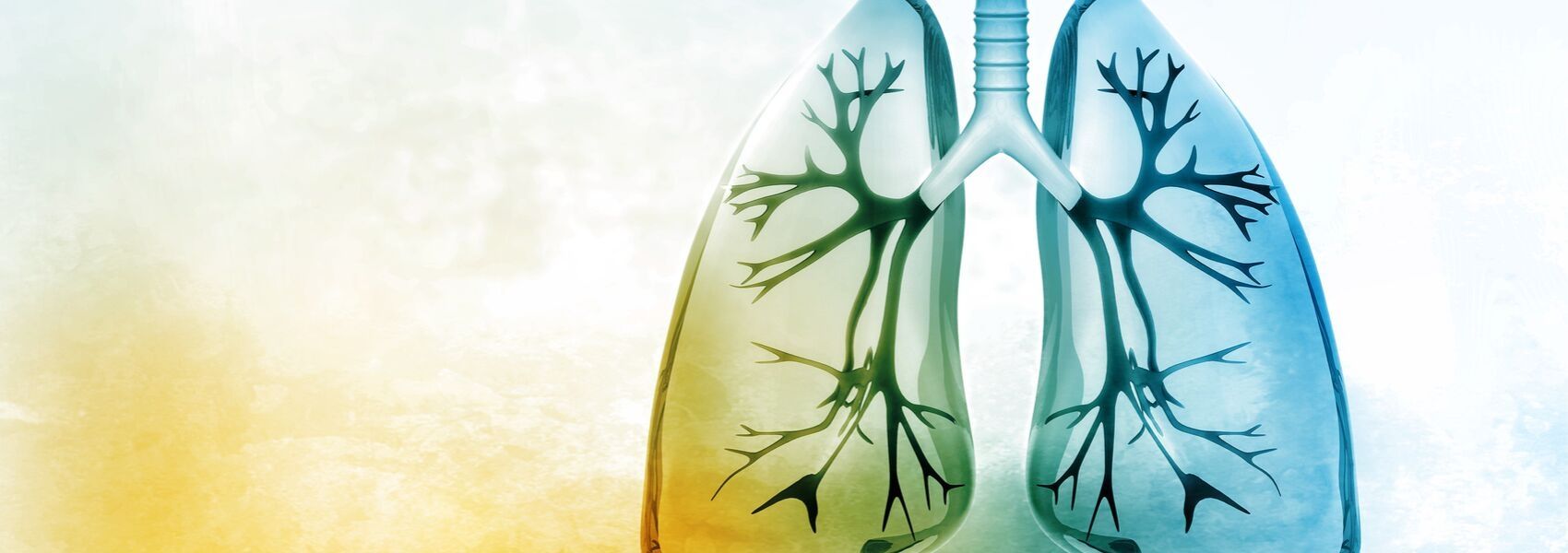 fibrose pulmonar idiopática