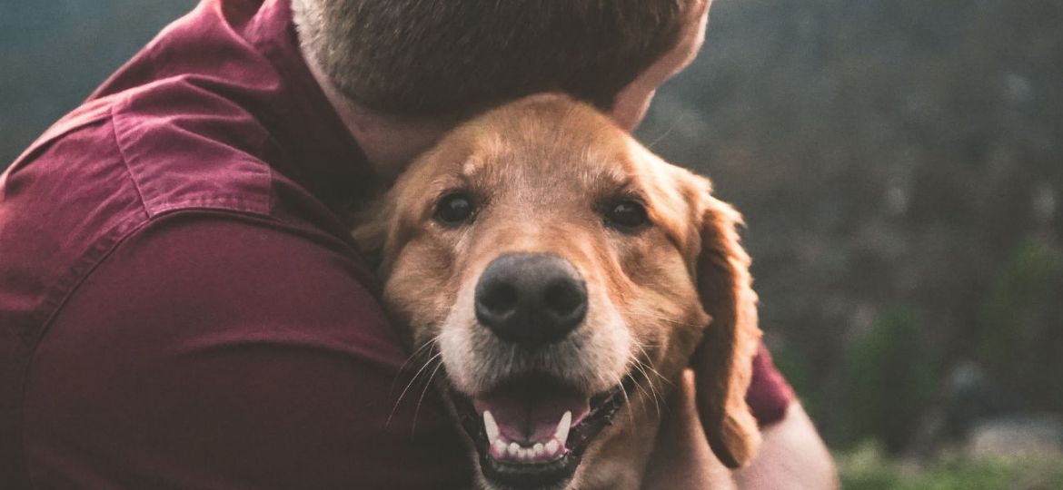 animais ajudam na luta contra o cancro