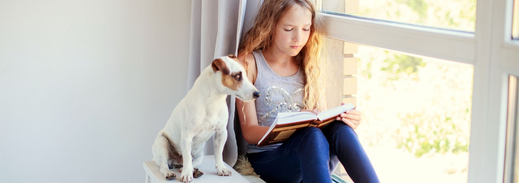 cães ajudam na leitura