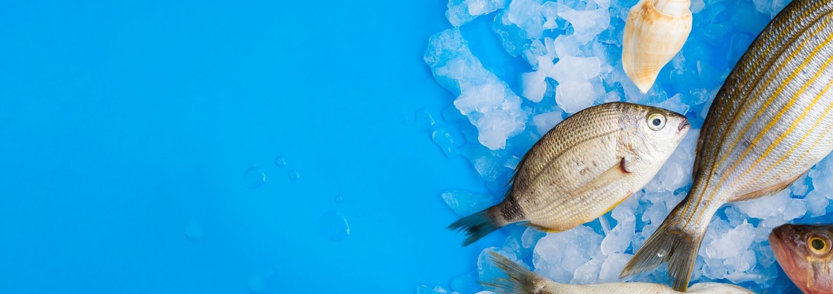 baixo consumo de peixe na gravidez