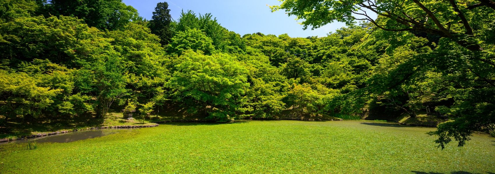 natureza nas cidades