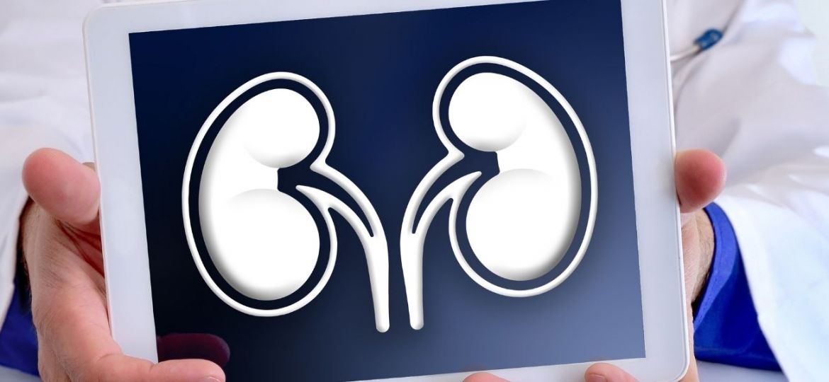 doença renal crónica